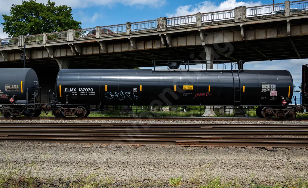 PLMX137070 - NORTH-AMERICA