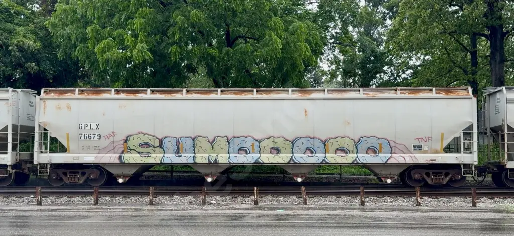 Train photo