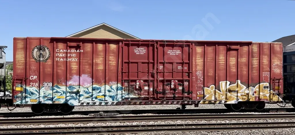 CP218308 - NORTH-AMERICA