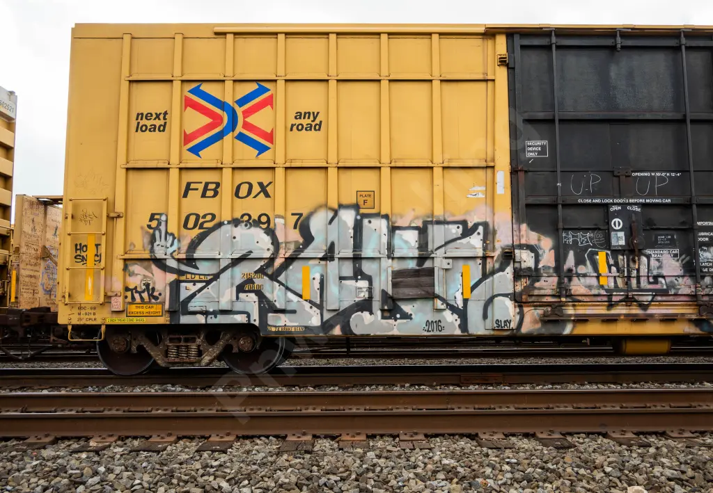 FBOX502897 - NORTH-AMERICA