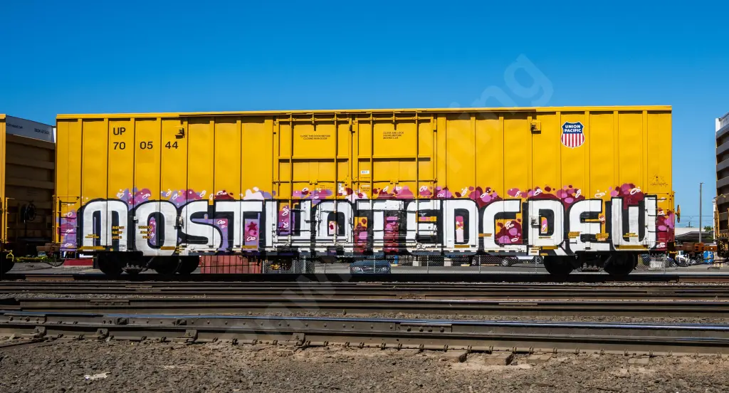 UP700544 - NORTH-AMERICA