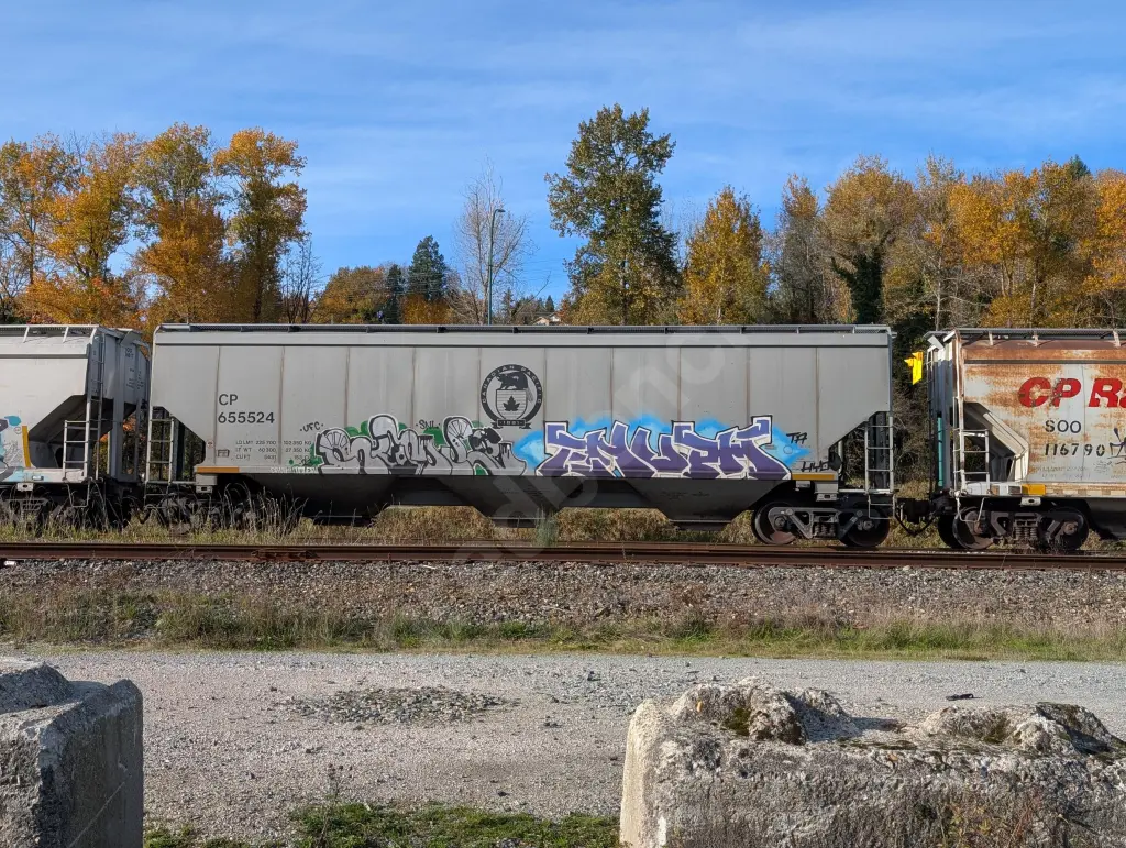 CP655524 - NORTH-AMERICA