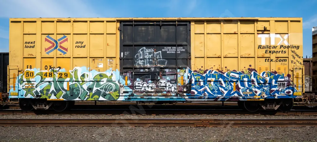 FBOX504829 - NORTH-AMERICA