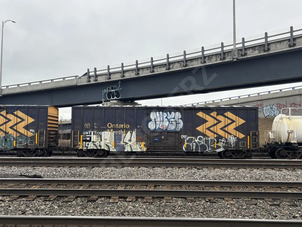 ONT7779 - NORTH-AMERICA