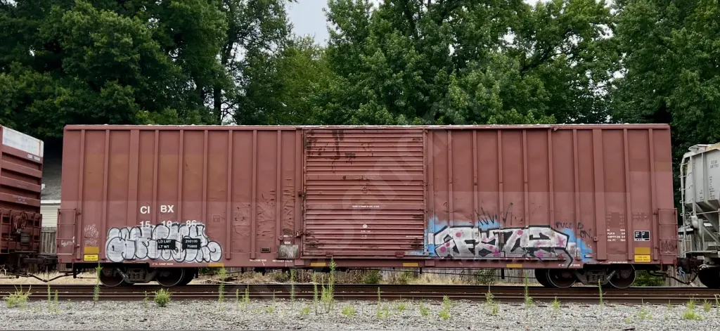 CIBX151086 - NORTH-AMERICA