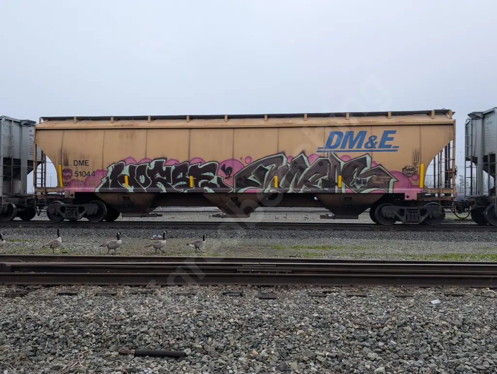 DME51044 - NORTH-AMERICA