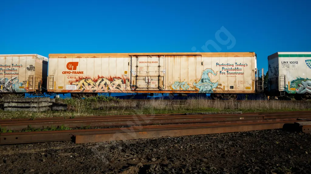 CRYX5140 - NORTH-AMERICA