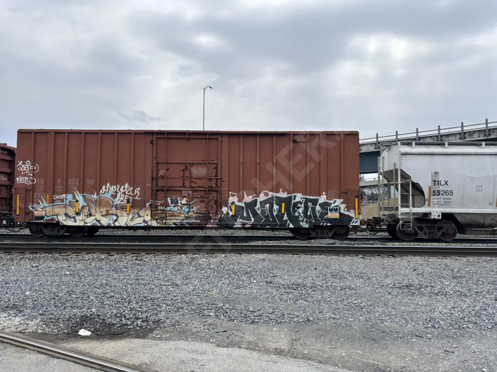 YKR20290 - NORTH-AMERICA