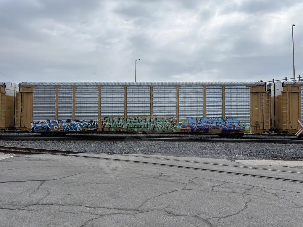 TTQX707923 - NORTH-AMERICA