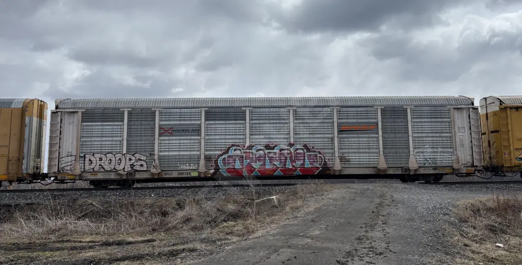Train photo