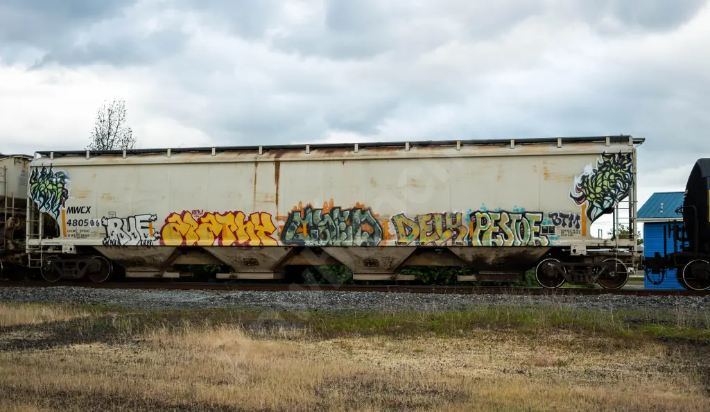 MWCX480506 - NORTH-AMERICA
