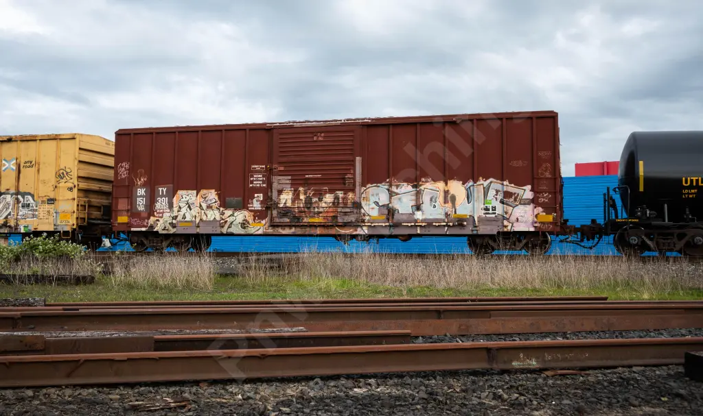 BKTY151391 - NORTH-AMERICA