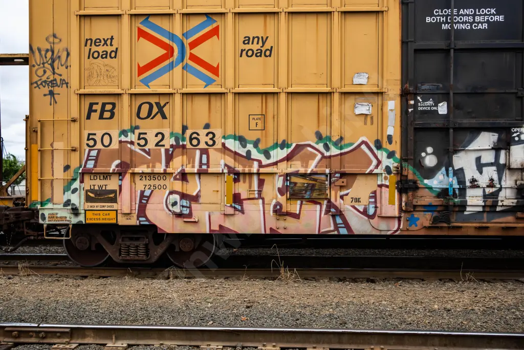 FBOX505263 - NORTH-AMERICA