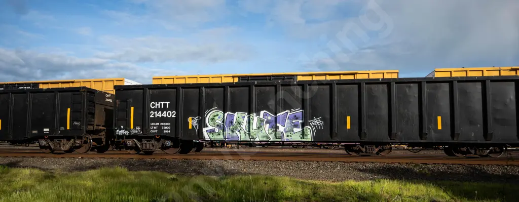 CHTT214402 - NORTH-AMERICA