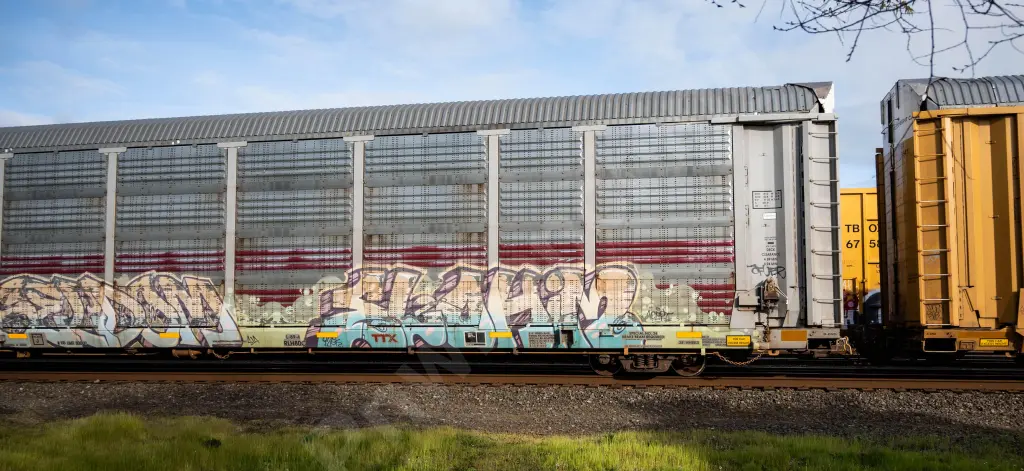 TTGX705685 - NORTH-AMERICA