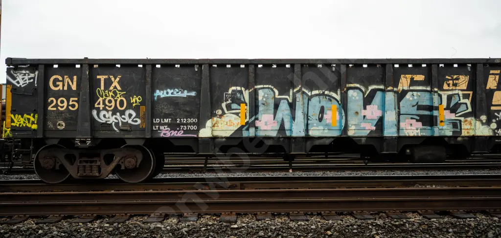 GNTX295490 - NORTH-AMERICA