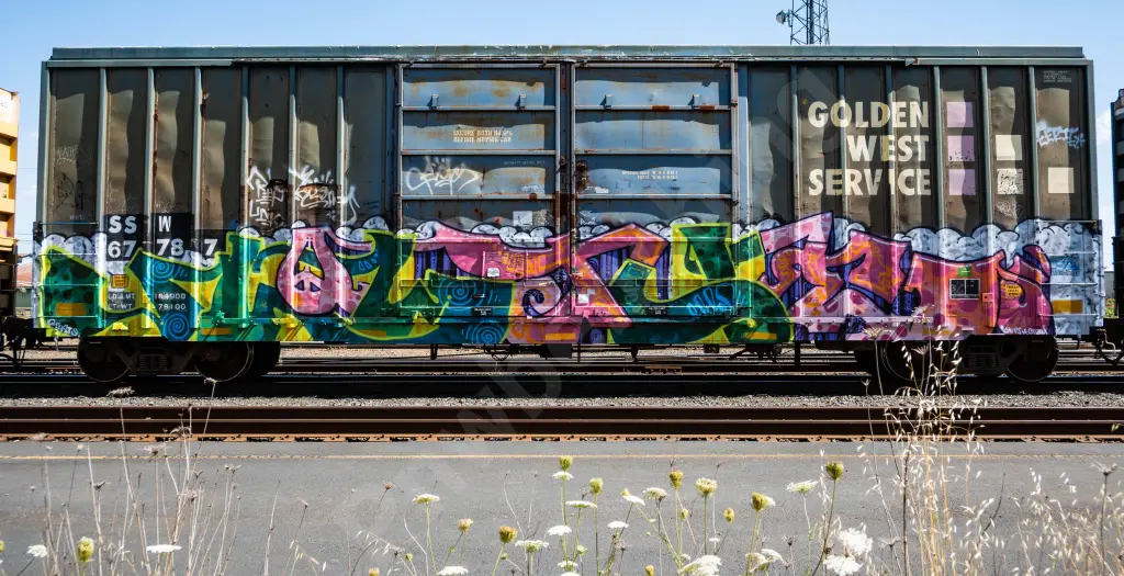 SSW67787 - NORTH-AMERICA