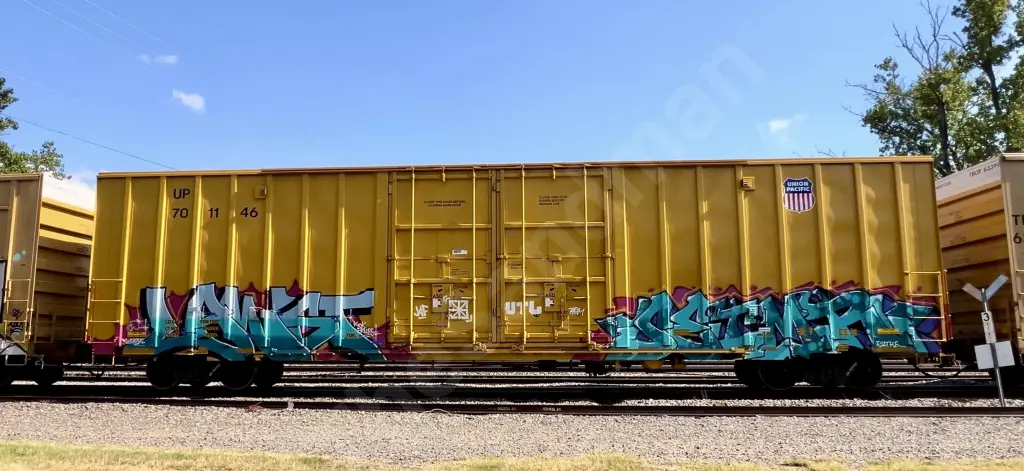 UP701146 - NORTH-AMERICA