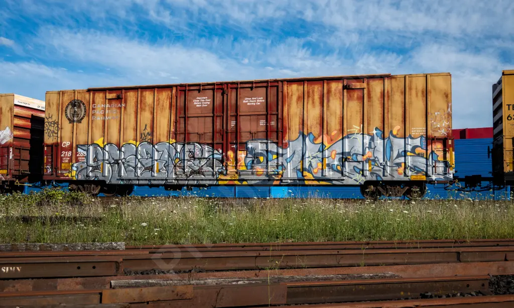 CP218283 - NORTH-AMERICA
