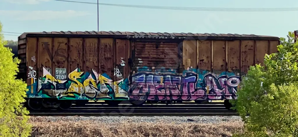 SRN7101 - NORTH-AMERICA