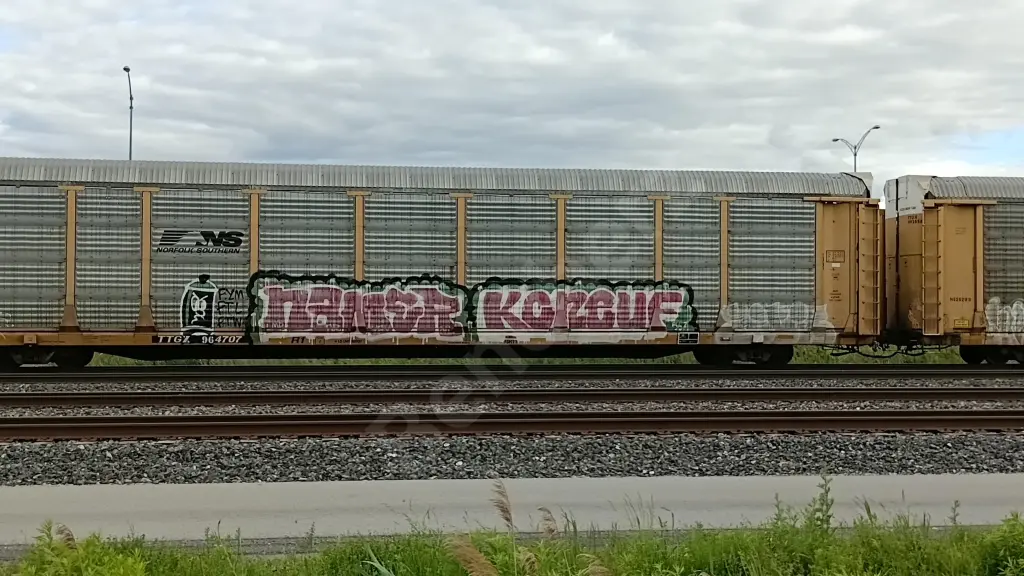 TTGX964707 - NORTH-AMERICA