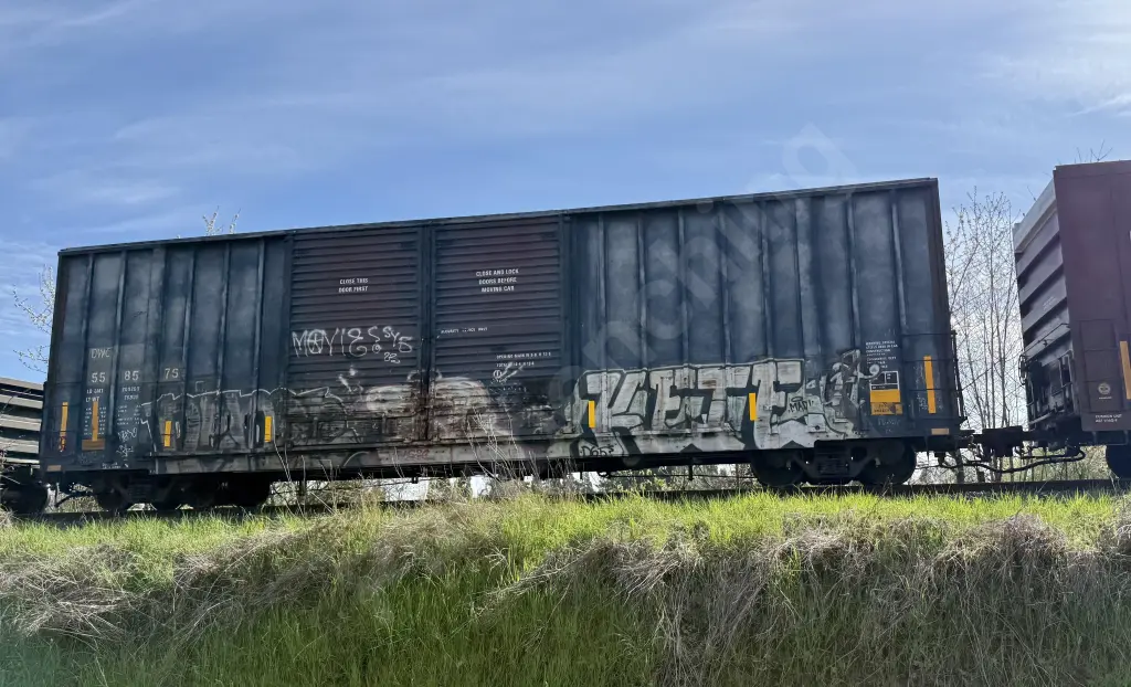 DWC558576 - NORTH-AMERICA