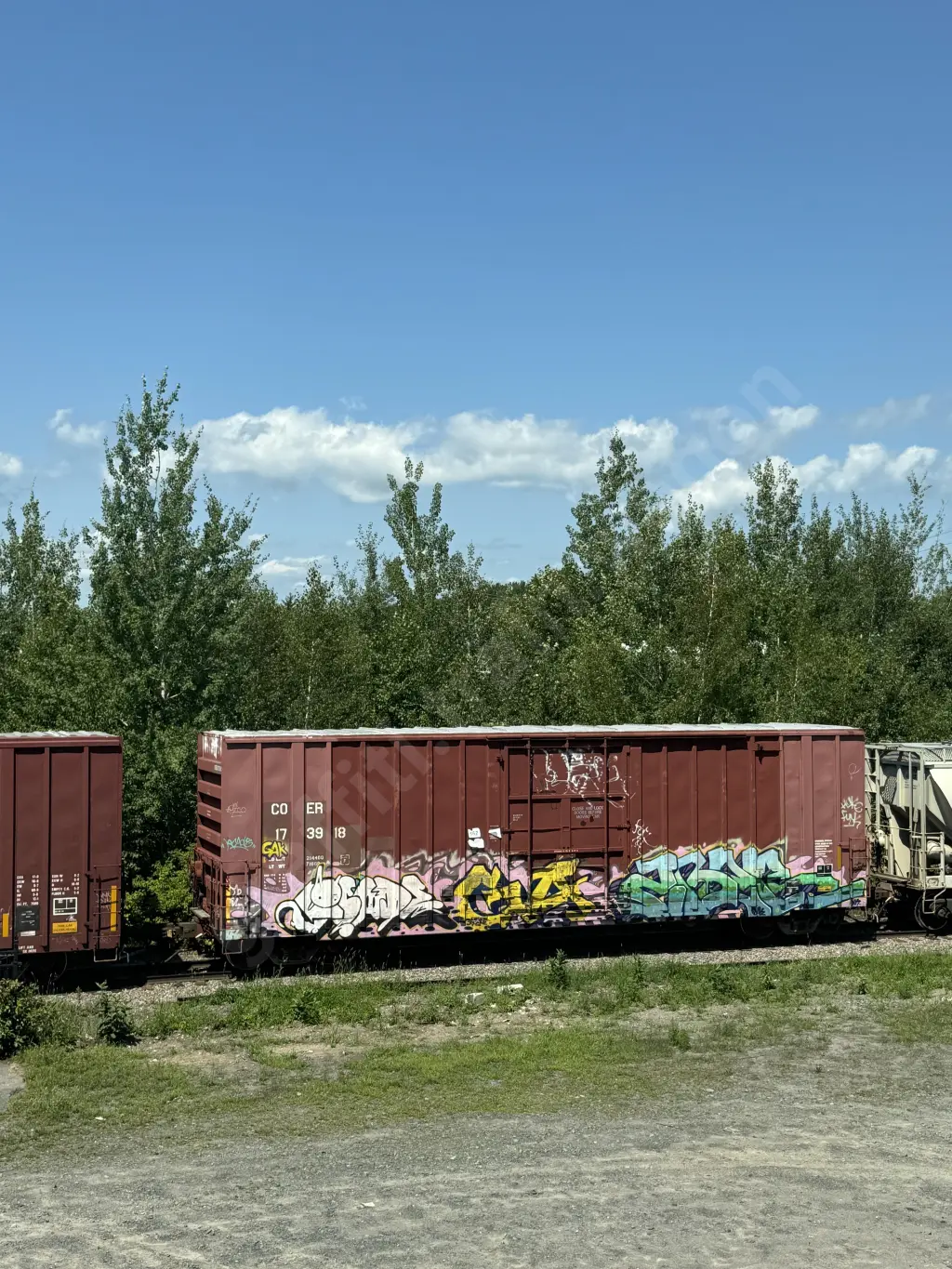 COER173918 - NORTH-AMERICA