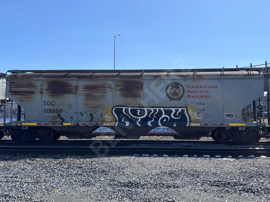 SOO119954 - NORTH-AMERICA