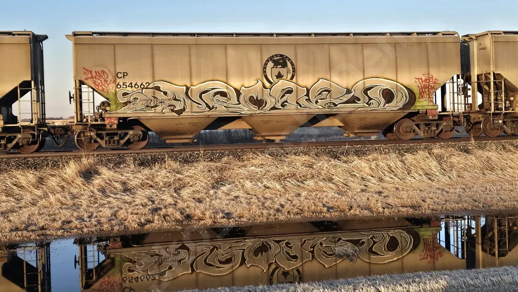 CP654667 - NORTH-AMERICA