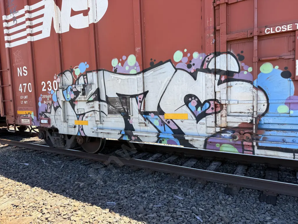 NS470230 - NORTH-AMERICA