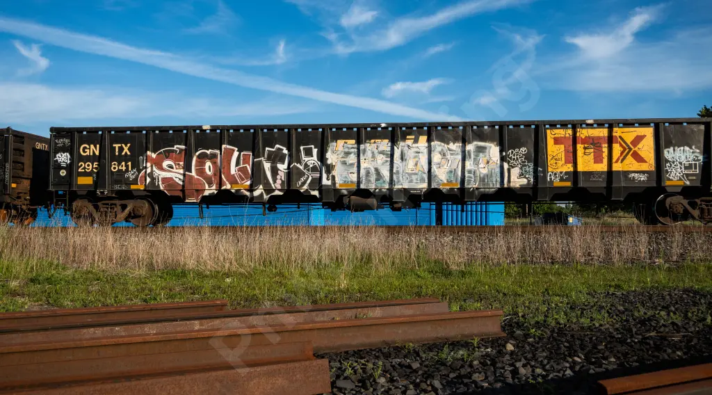 GNTX295841 - NORTH-AMERICA