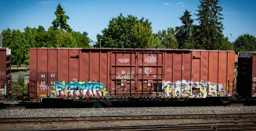 AERC6003 - NORTH-AMERICA