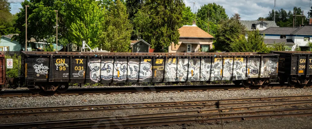 GNTX295031 - NORTH-AMERICA