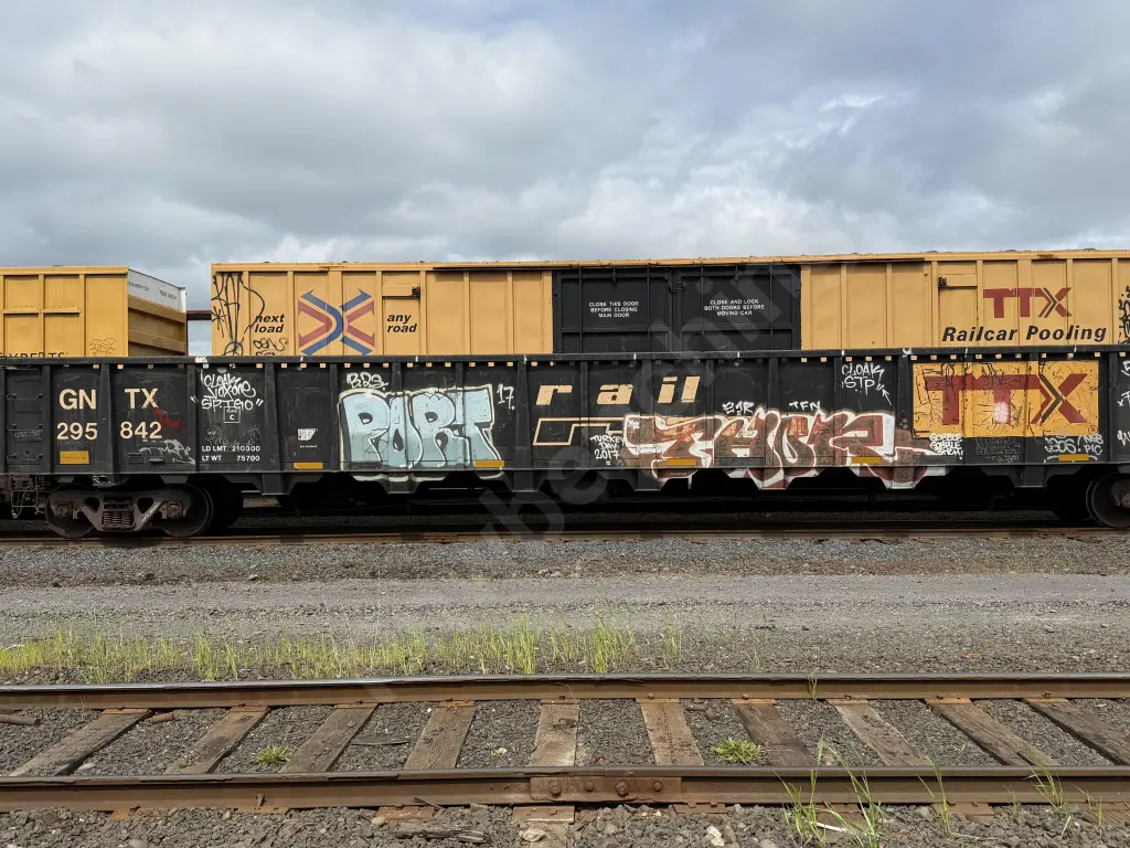 GNTX295842 - NORTH-AMERICA