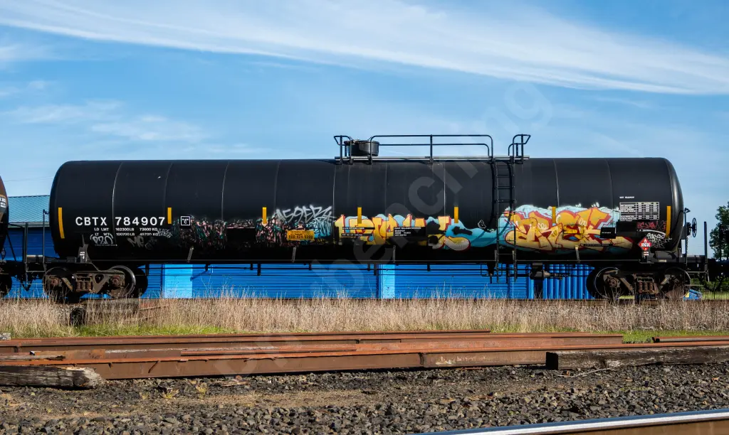 CBTX784907 - NORTH-AMERICA