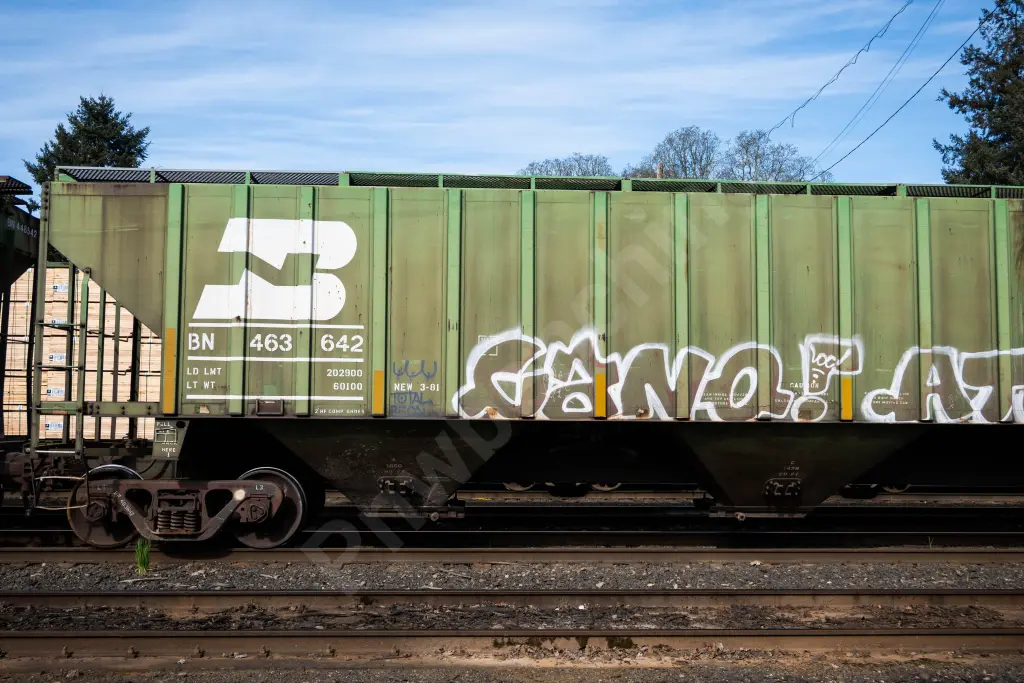 BN463642 - NORTH-AMERICA