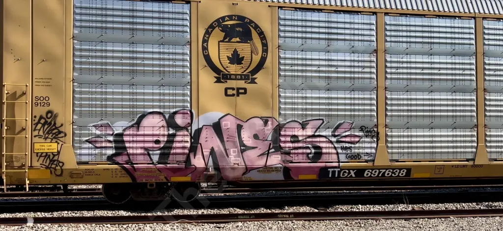 TTGX697638 - NORTH-AMERICA