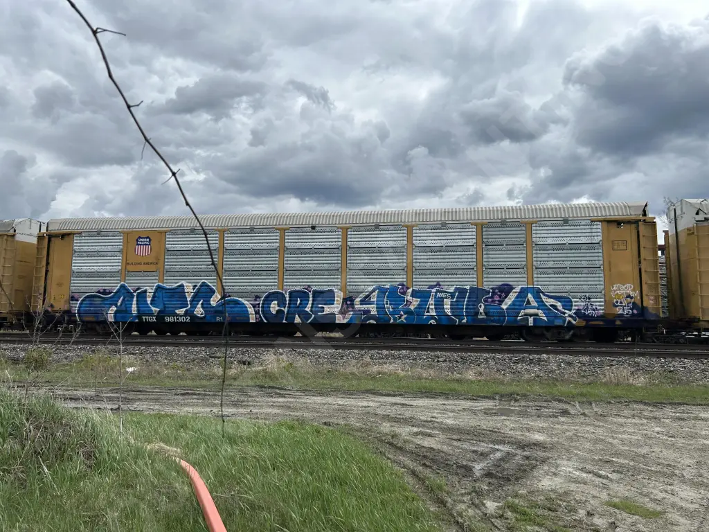 TTGX981302 - NORTH-AMERICA