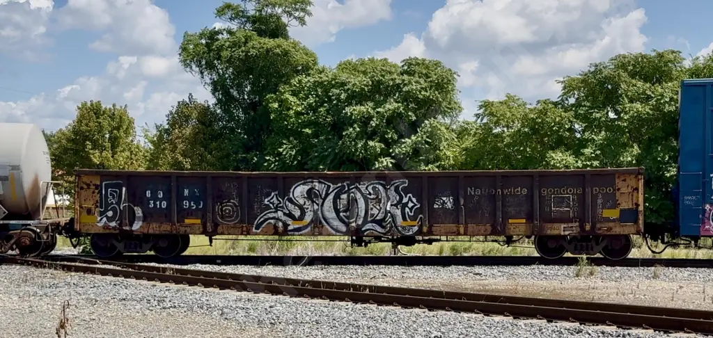 GONX310950 - NORTH-AMERICA