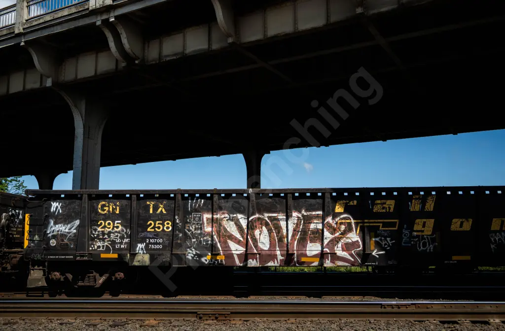 GNTX295258 - NORTH-AMERICA