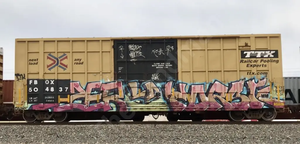 FBOX504837 - NORTH-AMERICA