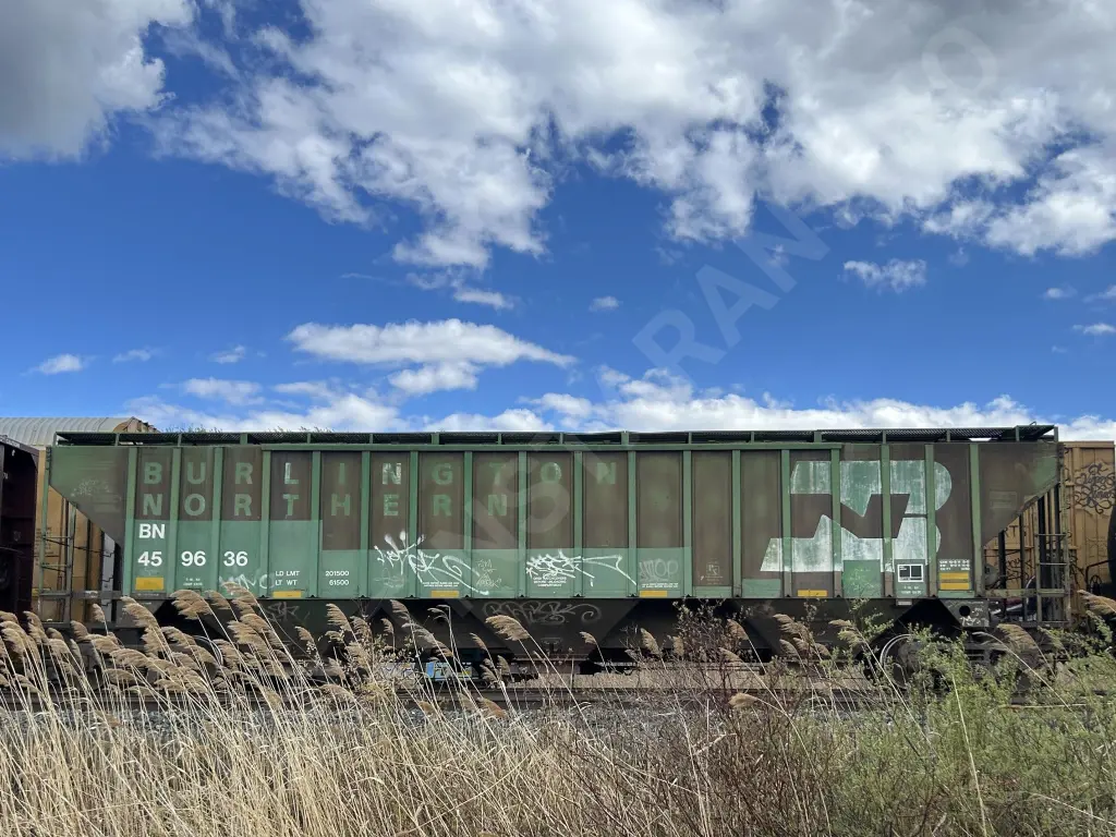 BN459636 - NORTH-AMERICA