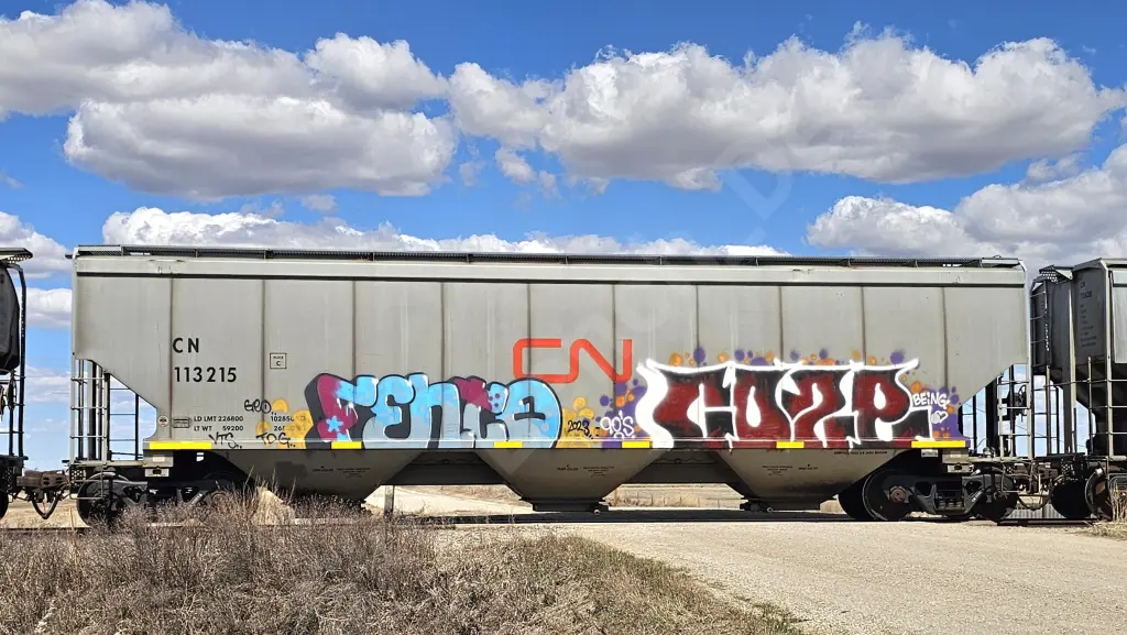 CN113215 - NORTH-AMERICA