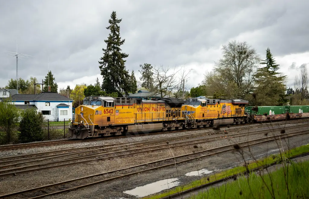 UP6542 - NORTH-AMERICA
