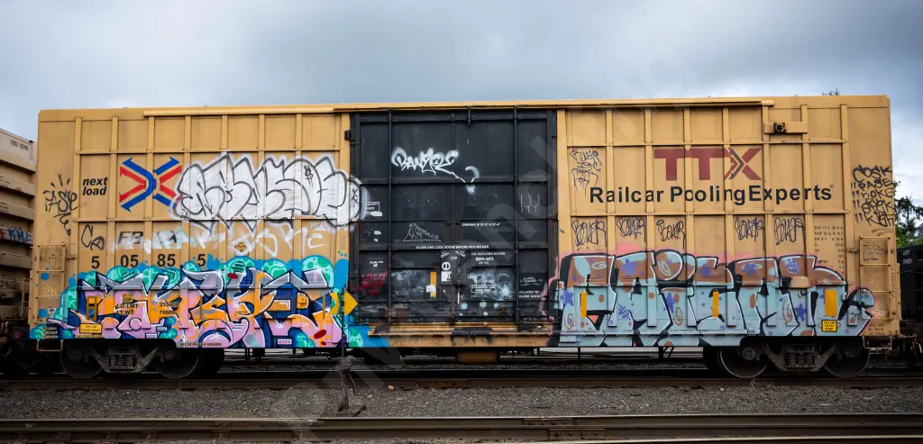 FBOX505855 - NORTH-AMERICA