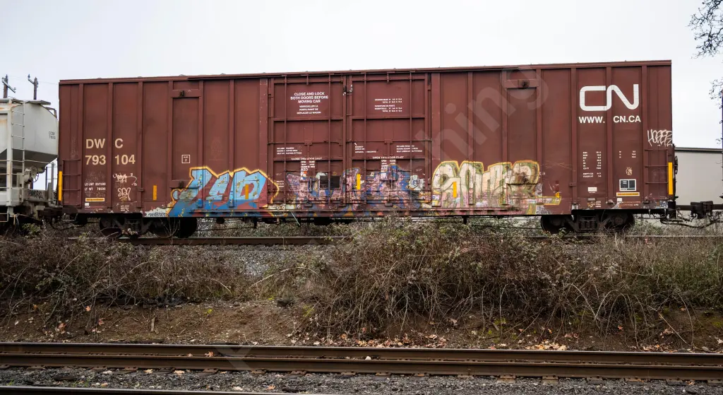 DWC793104 - NORTH-AMERICA