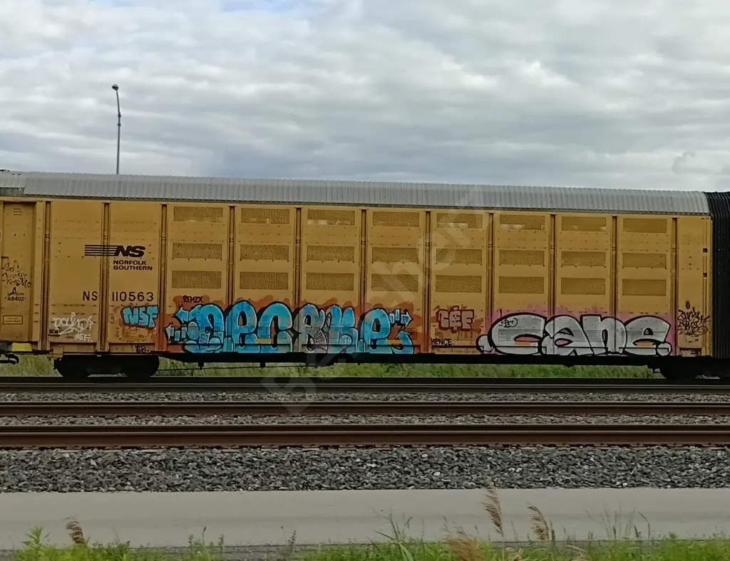 NS110563 - NORTH-AMERICA