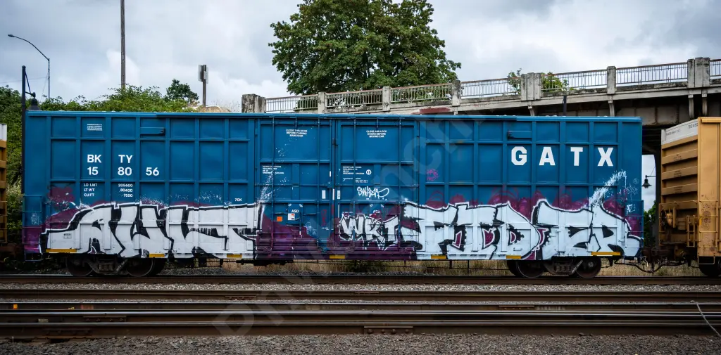BKTY158056 - NORTH-AMERICA