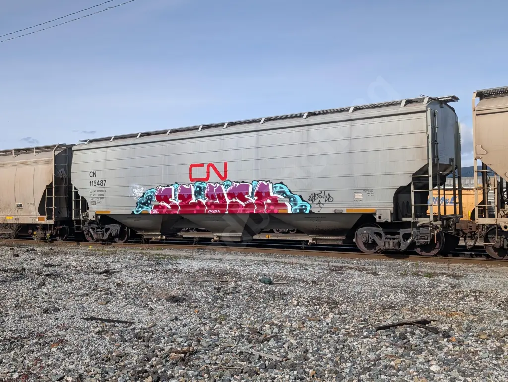CN115487 - NORTH-AMERICA