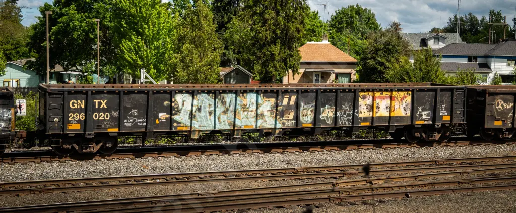 GNTX296020 - NORTH-AMERICA